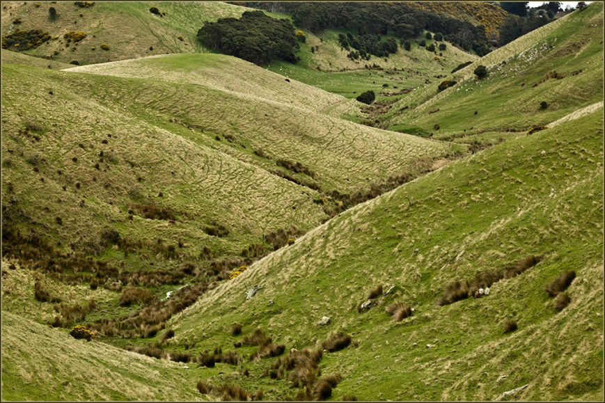 Rolling Hills Otago