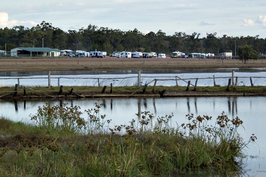 IMG_2142LawranceCampingFromWetlands