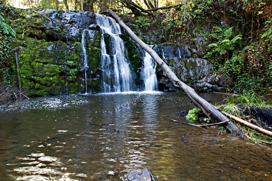 Lillydale Falls 2