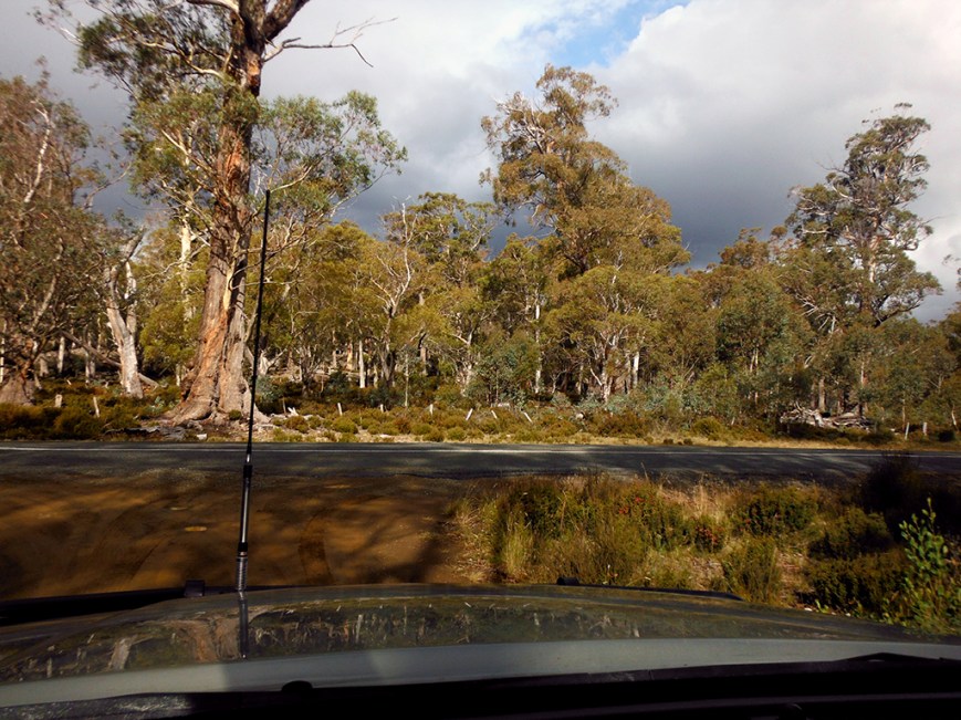 coming out of steppies scultpures