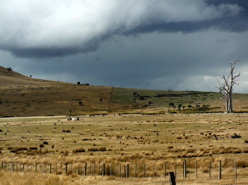 Up on top of one of the ranges by Bothwell